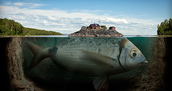 Erik Johansson