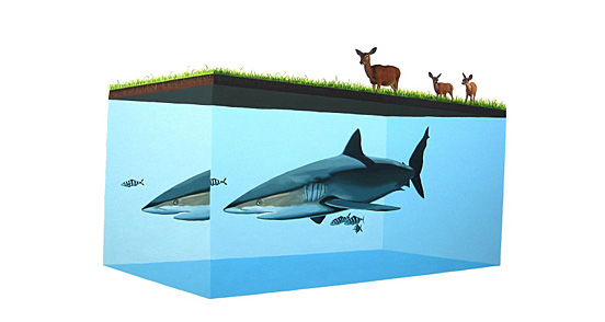 Joshkeyes