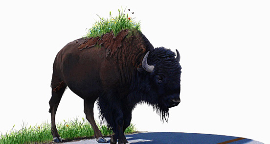 joshkeyes