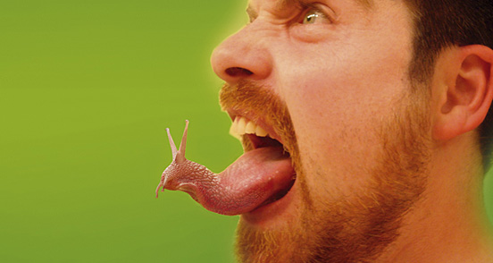 Enzzok