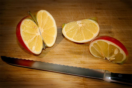Brauseholic