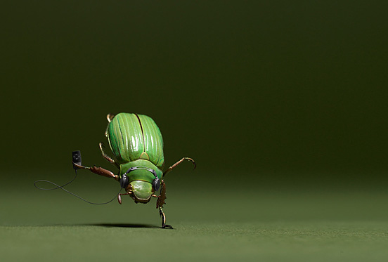Romain Laurent