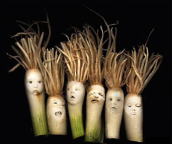 The Onion Babies