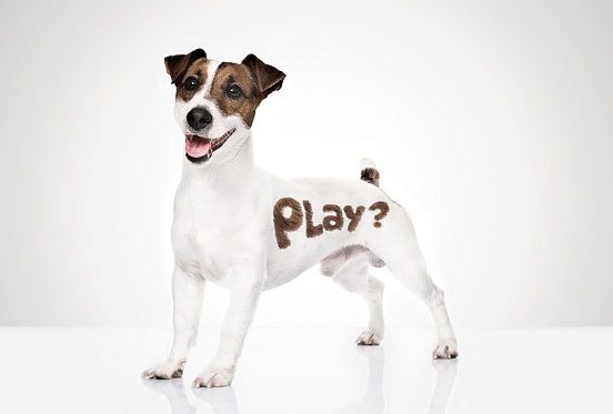 Play