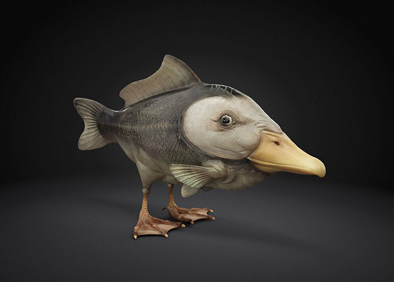 Duckbill Fish