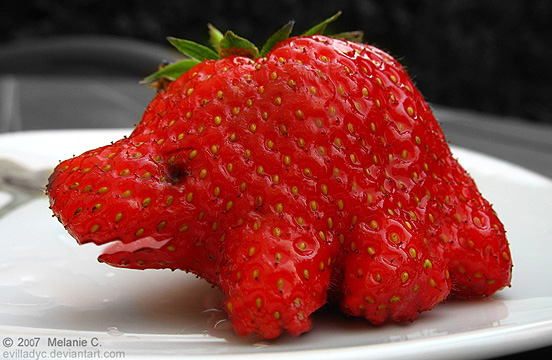 Strawberry or Dinosaur