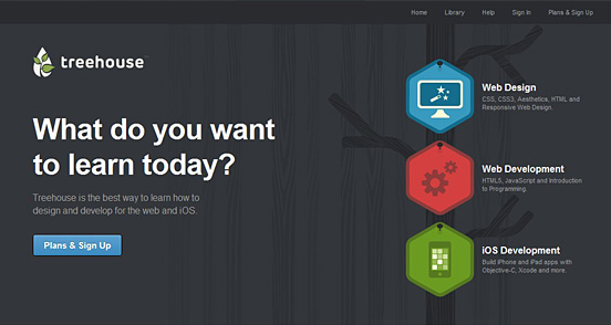 Teamtreehouse