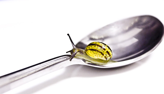 Caracol