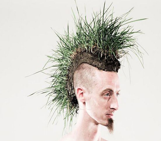 Grass MoHawk