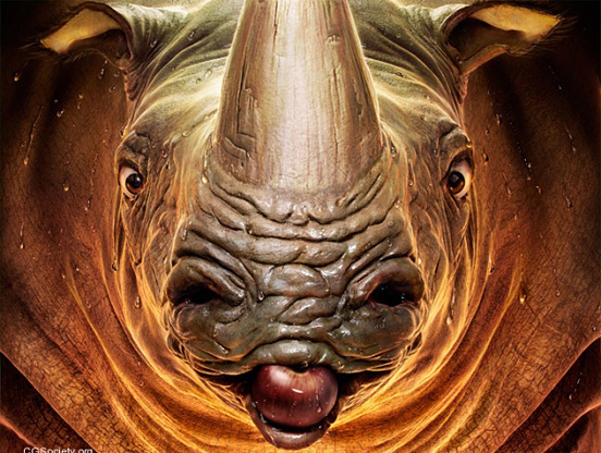 Rhino!