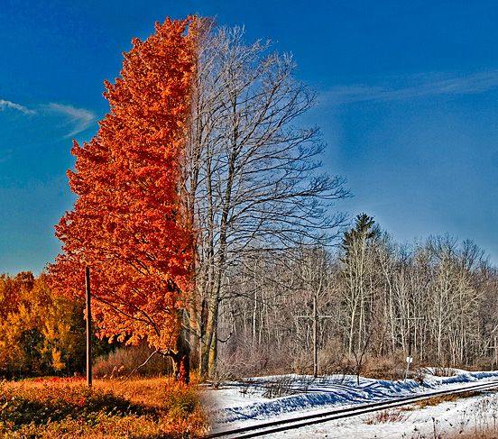 Fallinter