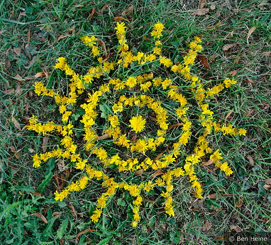 Abstract Composition with Yellow Flowers