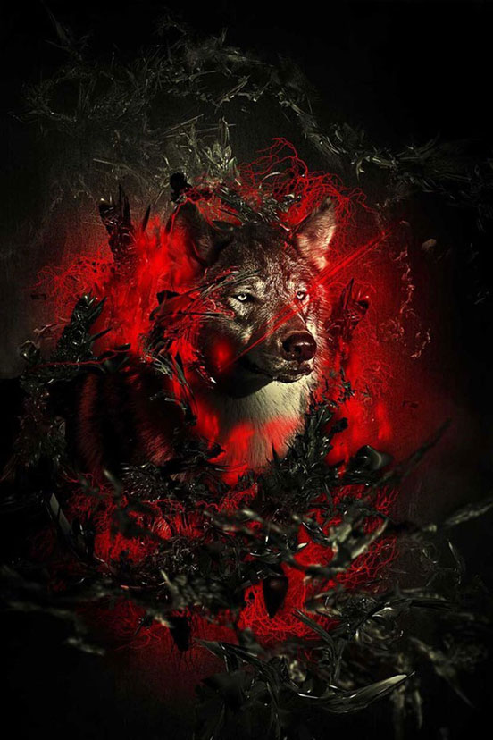 Fiery Wolf