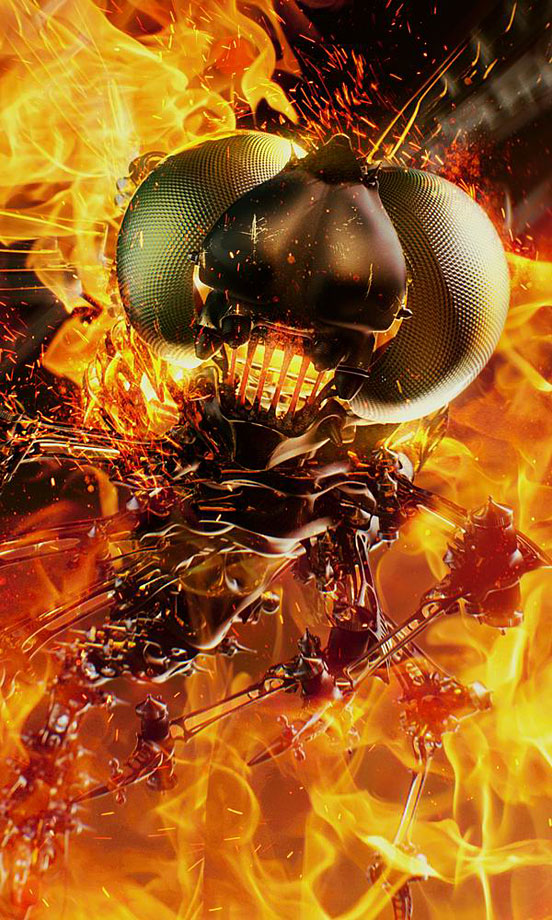 Blazing Dragonfly