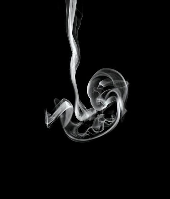 Smoke Baby