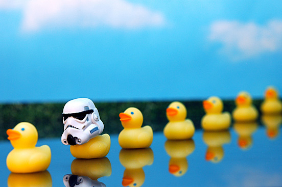 Fowl Storm