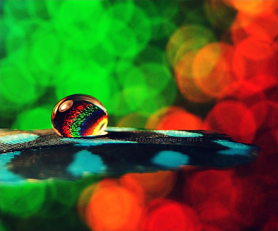 Rainbow from Within