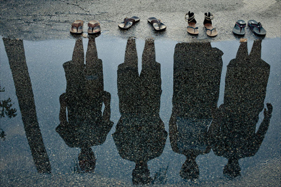Shadow Family