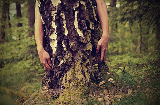 A Tree Which Has Hands