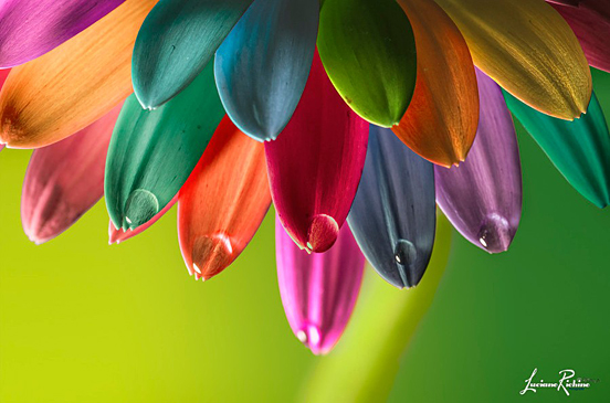 Colours