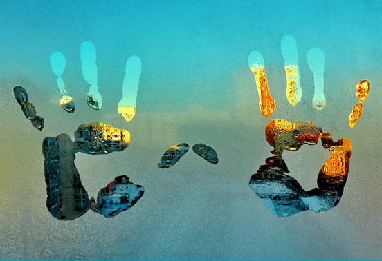 Condensation Palm
