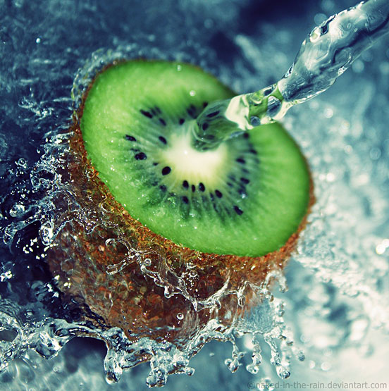 So Fresh So Green