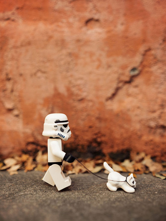 Stroll