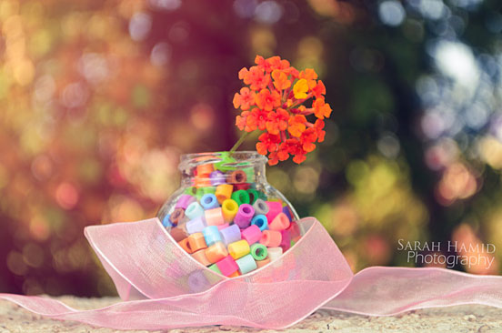 Colorful Seeds