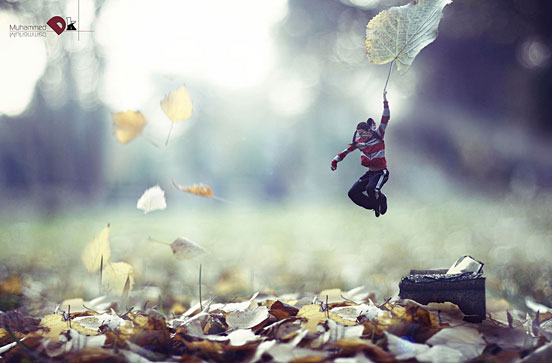 Game of Leafs