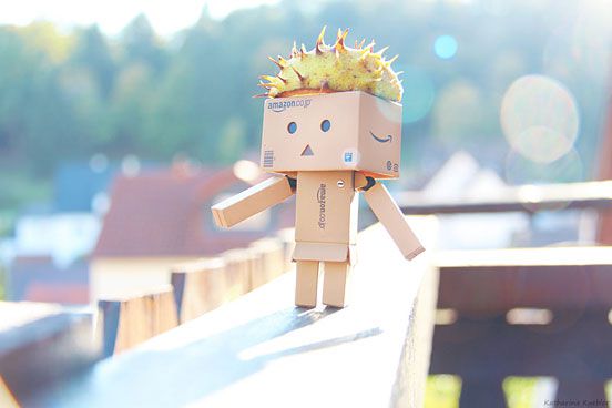 Stylish Danbo