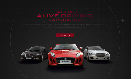 Jaguar Experience
