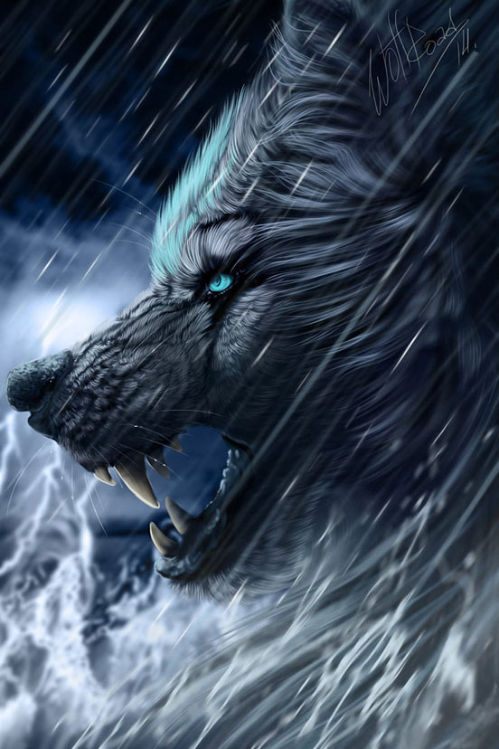 The Perfect Storm