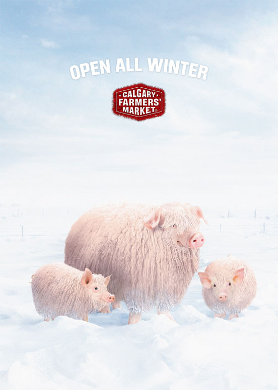 Open All Winter