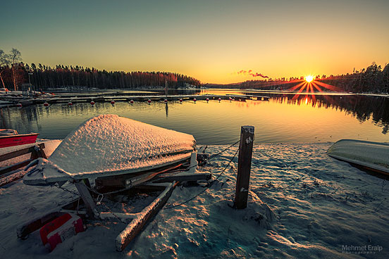 Before winter