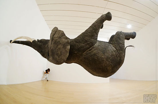 Elephants
