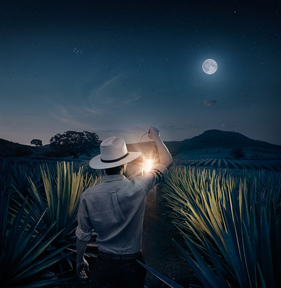 Don Julio Tequila