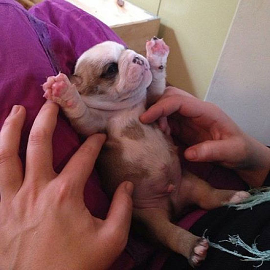 Sooooo Sweeet