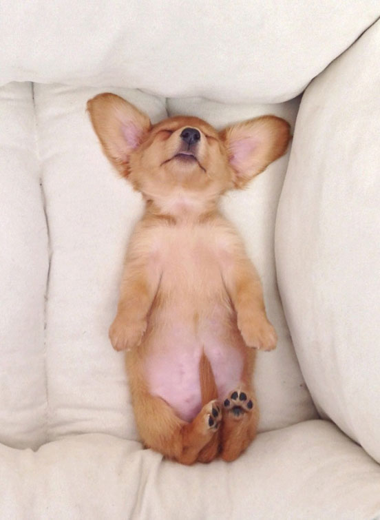 Goodnight