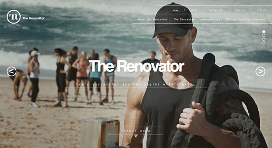 The Renovator