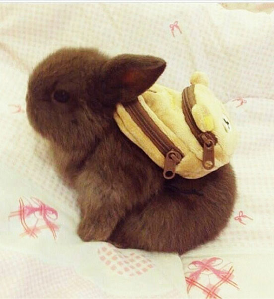 I’m Ready For School Mom!