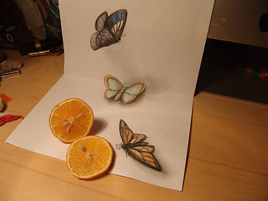 Butterflies