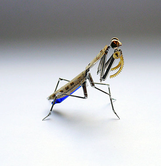 Mantis