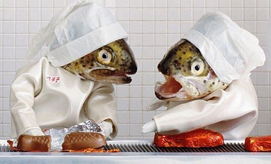 Fish