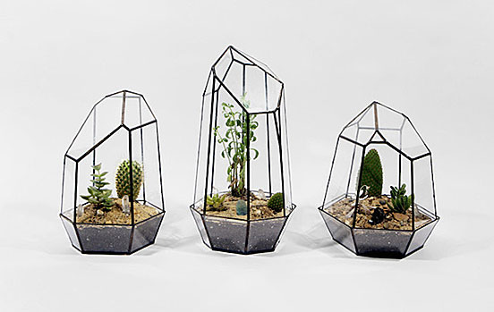 Geometric Glass Terrariums and Lamps