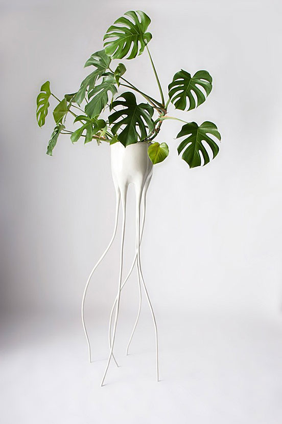 Monstera Pots for plants