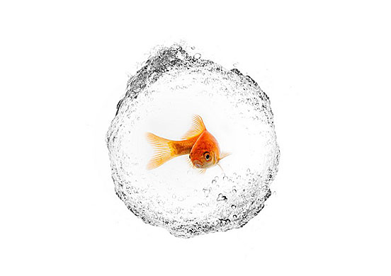 Bubble