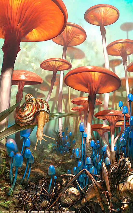 Mushroom Landscape