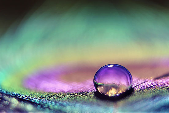 Purple Eye