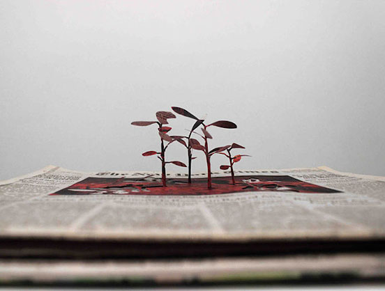Cutting Paper Trees from Newspapers
