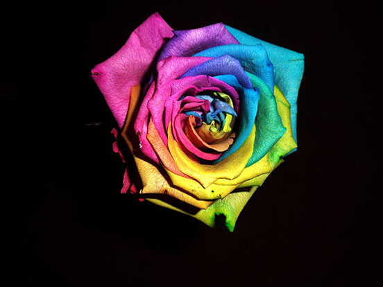 True Colours